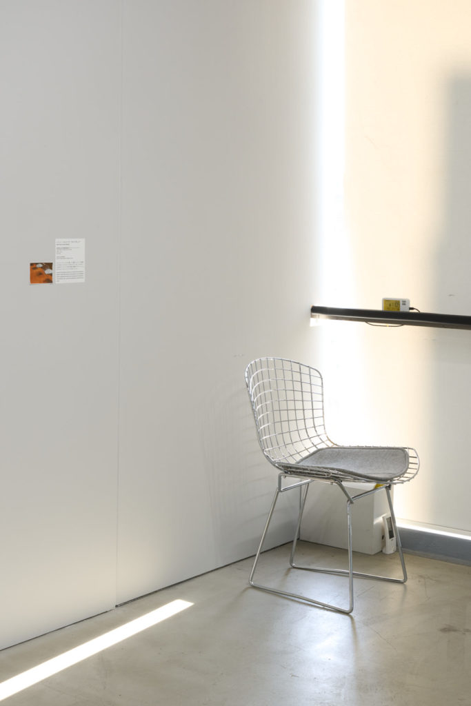 Solo Exhibition: CHANCE FAVORS THE PREPARED MIND