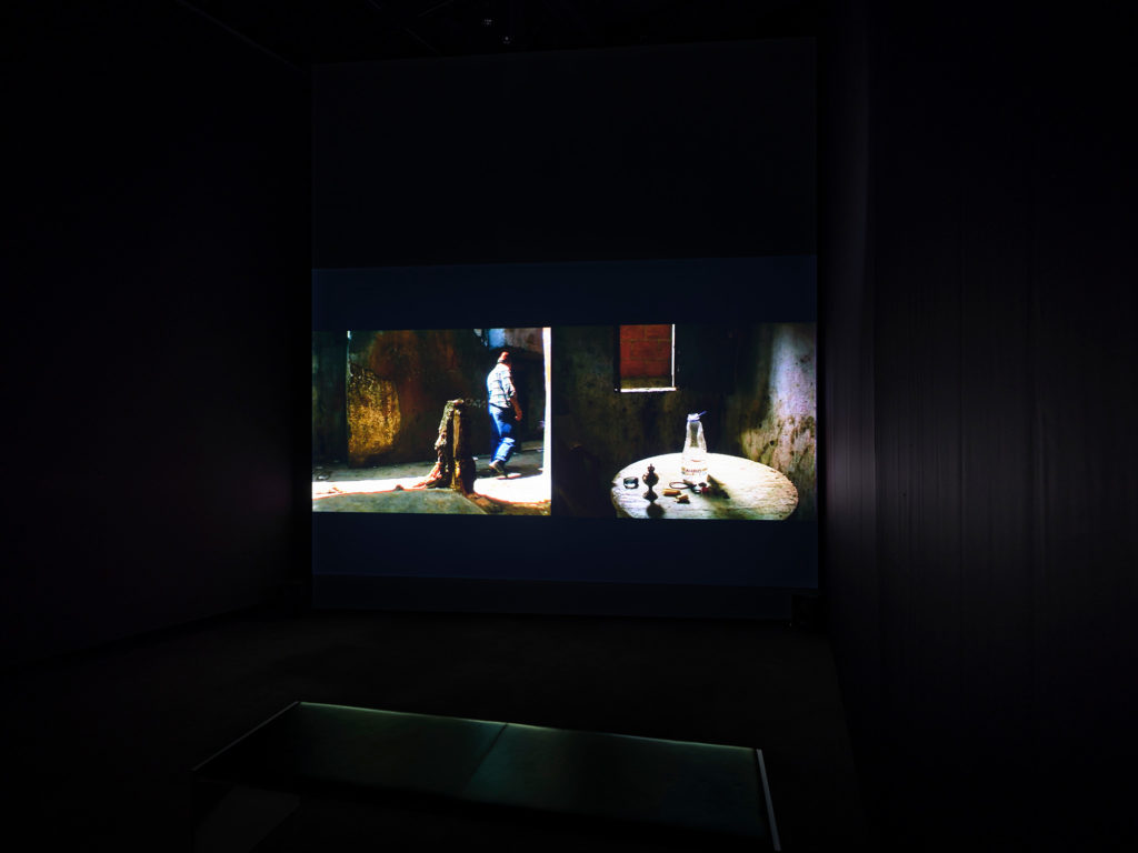 PEDRO COSTA INNERVISIONS